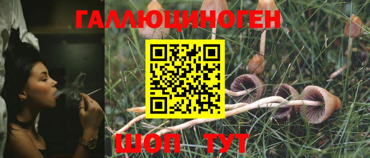 Урюпинск  Псилоцибиновые грибы мицелий  купить закладку  Вход с VPN 