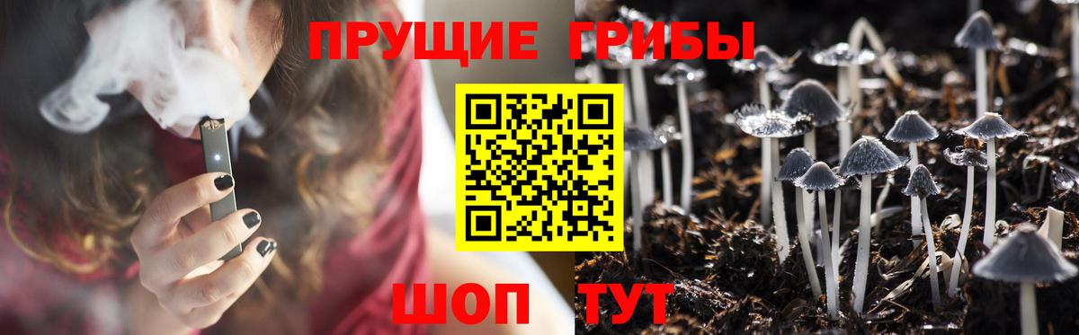 Псилоцибиновые грибы мицелий Урюпинск